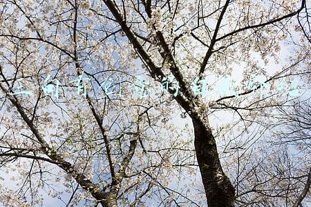 三句有创意的自我介绍