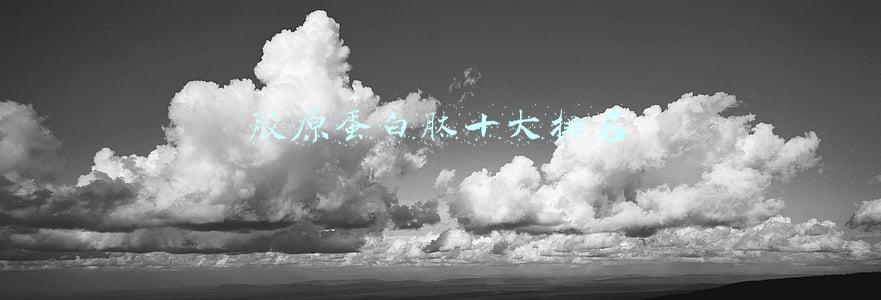 胶原蛋白肽十大排名