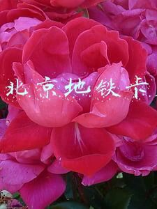 北京地铁卡