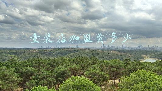 童装加盟都需要什么？_童装店加盟