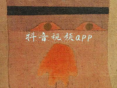 抖音视频app