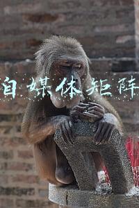 自媒体矩阵思维导图(自媒体矩阵运营规划怎么写？（思维导图）)