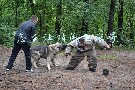 怎么注销闲鱼账号