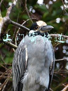 顺丰上门寄快递(山西顺丰推行快递小哥上门服务“3+1”标准)