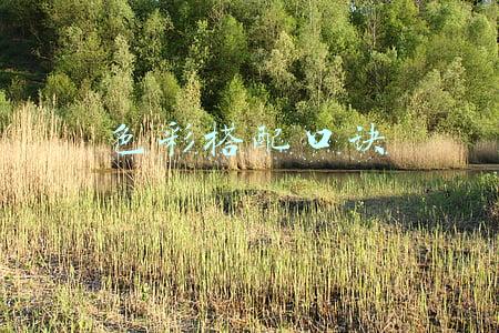 平面设计色彩搭配口诀(民间美术色彩口诀（传统的色彩搭配原则）)