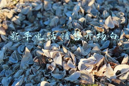 新手电话销售开场白