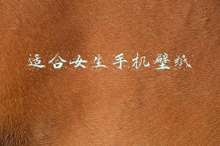 适合女生手机壁纸