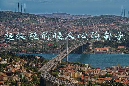 超级短的暖人心的句子