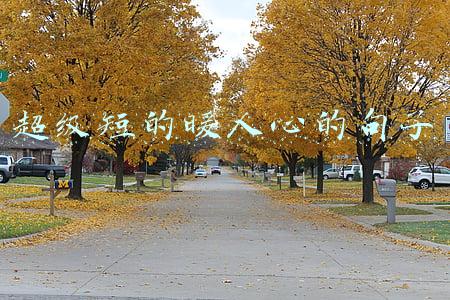 超级短的暖人心的句子