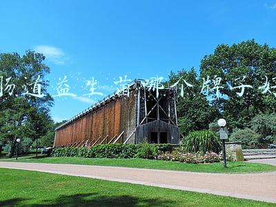 肠道益生菌哪个牌子好