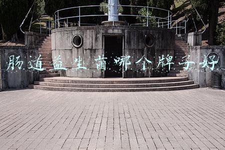 肠道益生菌哪个牌子好