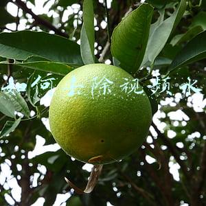 pr如何去除视频水印