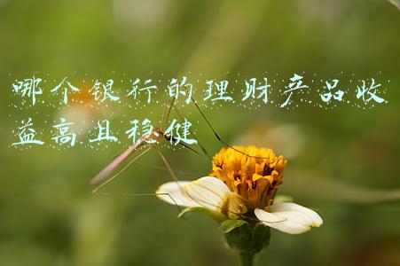 哪个银行的理财产品收益高且稳健