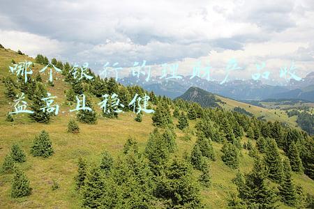 哪个银行的理财产品收益高且稳健