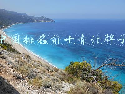 中国排名前十青汁牌子