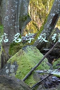 早餐店名字吸引人气