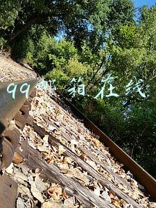 qq邮箱在线