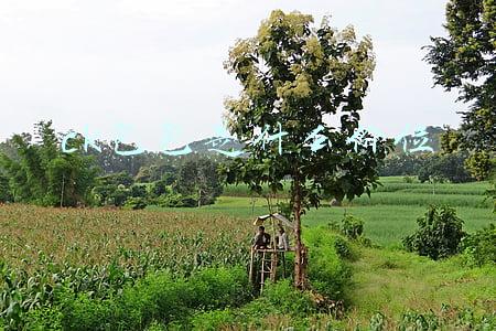 ck包包是什么价位