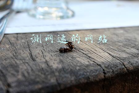 测网速的网站