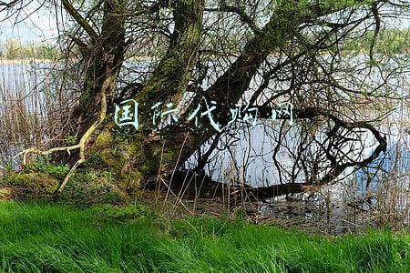 国际贸易代购合同(代购房屋协议)