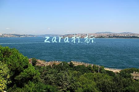 zara打折