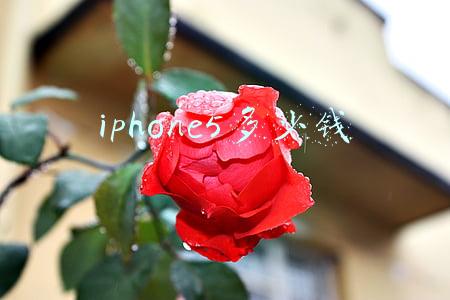 iphone5多少钱