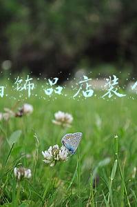 水晶饰品店装修图