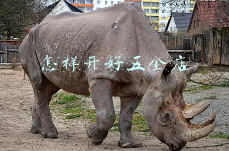 怎样开好五金店