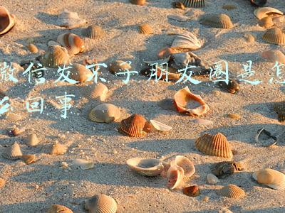 微信发不了朋友圈是怎么回事