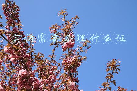 卖酒需要办理什么证