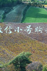 微信小号购买(微信白号)(买卖微信号？法院判决交易平台构成不正当竞争，赔偿腾讯109万)