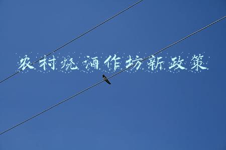农村烧酒作坊新政策