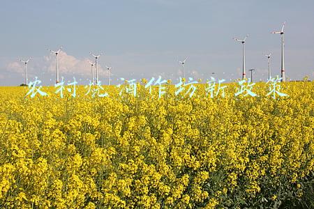 农村烧酒作坊新政策