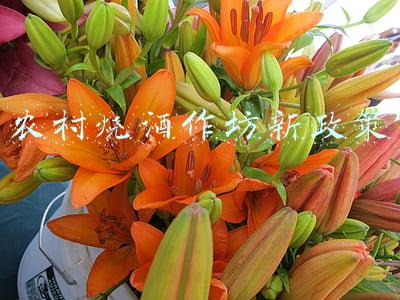 2020年家庭作坊酿酒的新政策(家庭自酿酒可不能随便卖 浙江温岭查获3起涉嫌经营自酿散装果酒案)