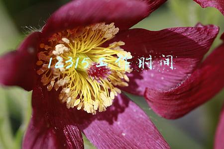 01012315工作时间(百姓有困难有冤情投诉求助联系电话)