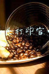 传美打印官网