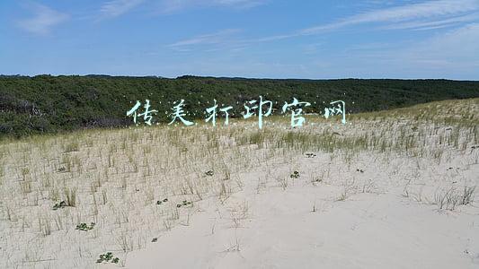 传美打印官网