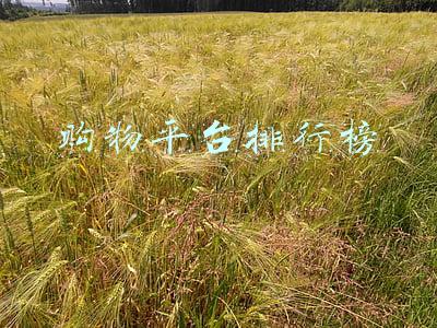 购物平台排行榜