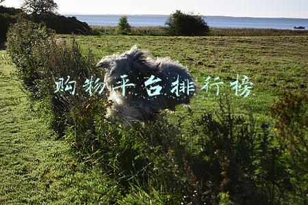 购物平台排行榜