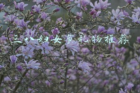 三八妇女节礼物推荐