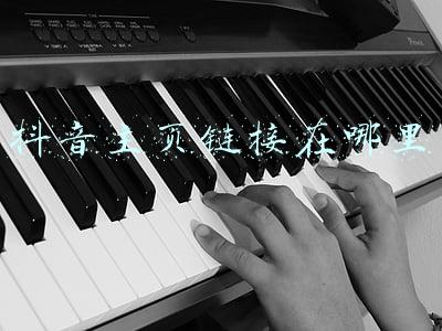 抖音主页链接在哪里