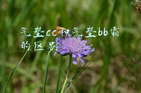 隔离霜与bb霜的区别(bb霜和隔离霜的区别是什么？从功能到效果来解释，学会就选对)