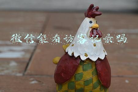 微信能看访客记录吗