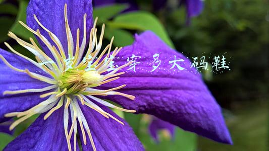 一岁宝宝穿多大码鞋