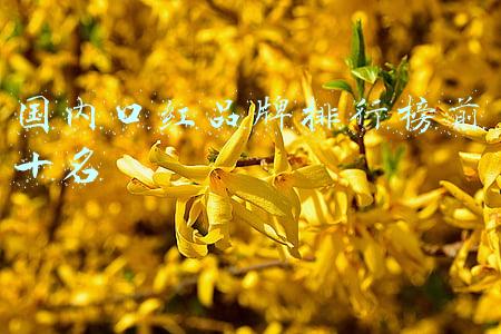国内口红品牌排行榜前十名