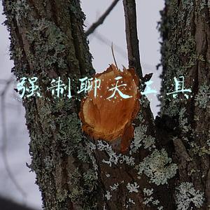 强制聊天工具