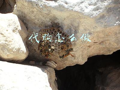 代购怎么做