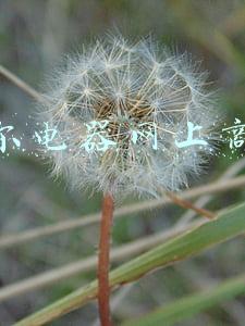 海尔官网商城首页海尔集团(未来的海尔能保持活力吗)
