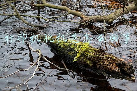 打印机脱机是怎么回事