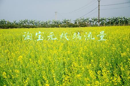 淘宝无线端流量